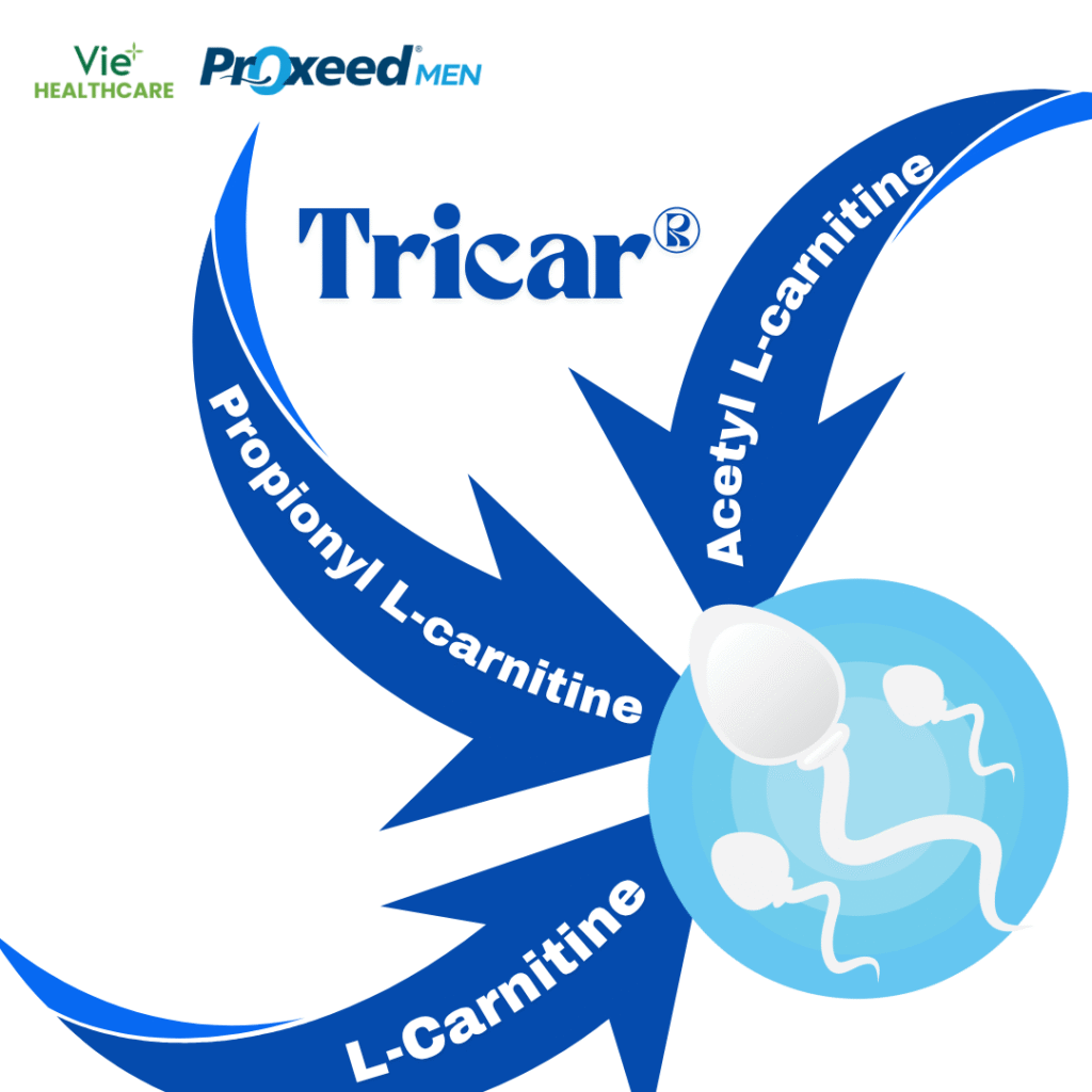 Vai trog bộ ba Tricar®