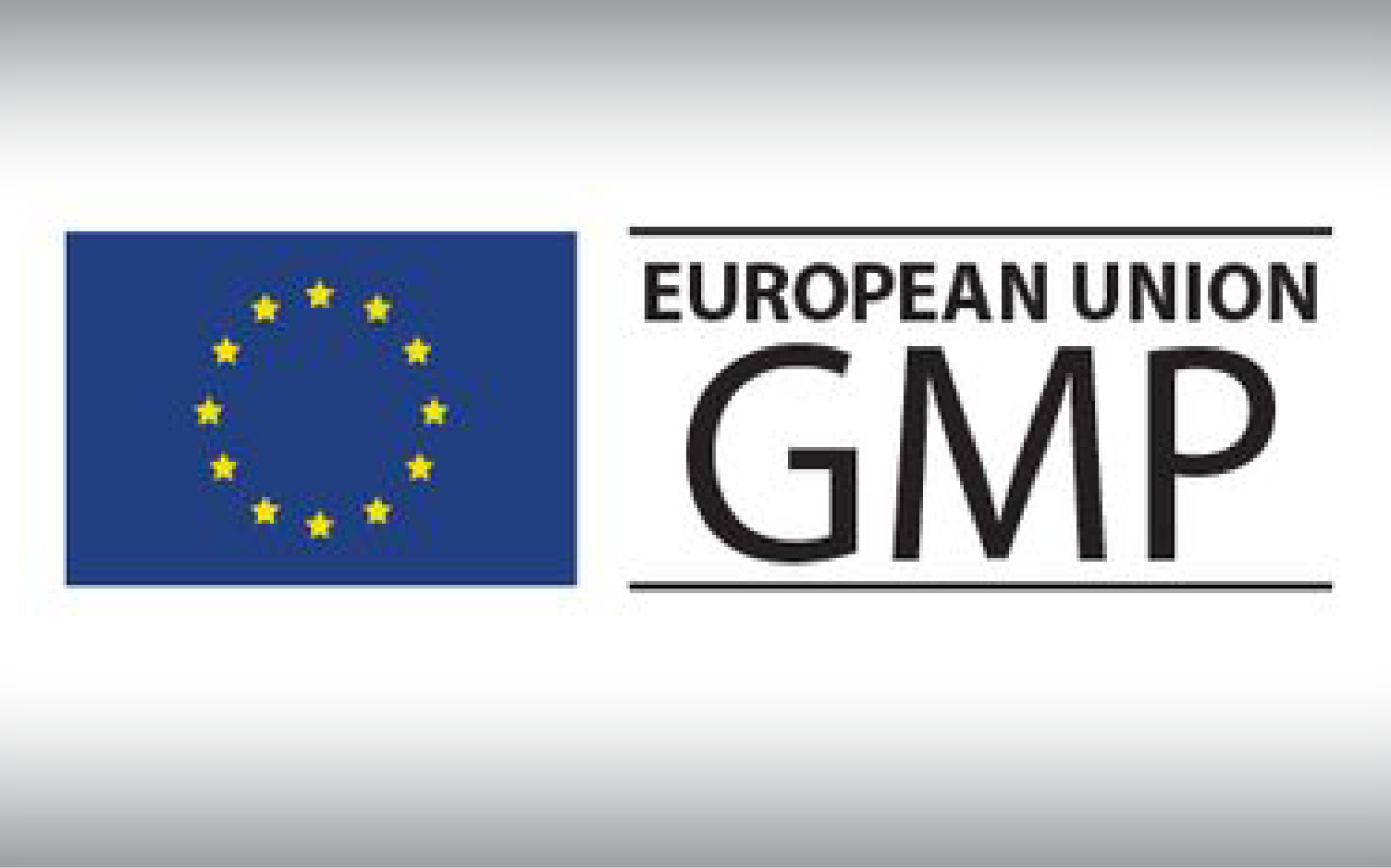 hvac-trong-gmp-eu